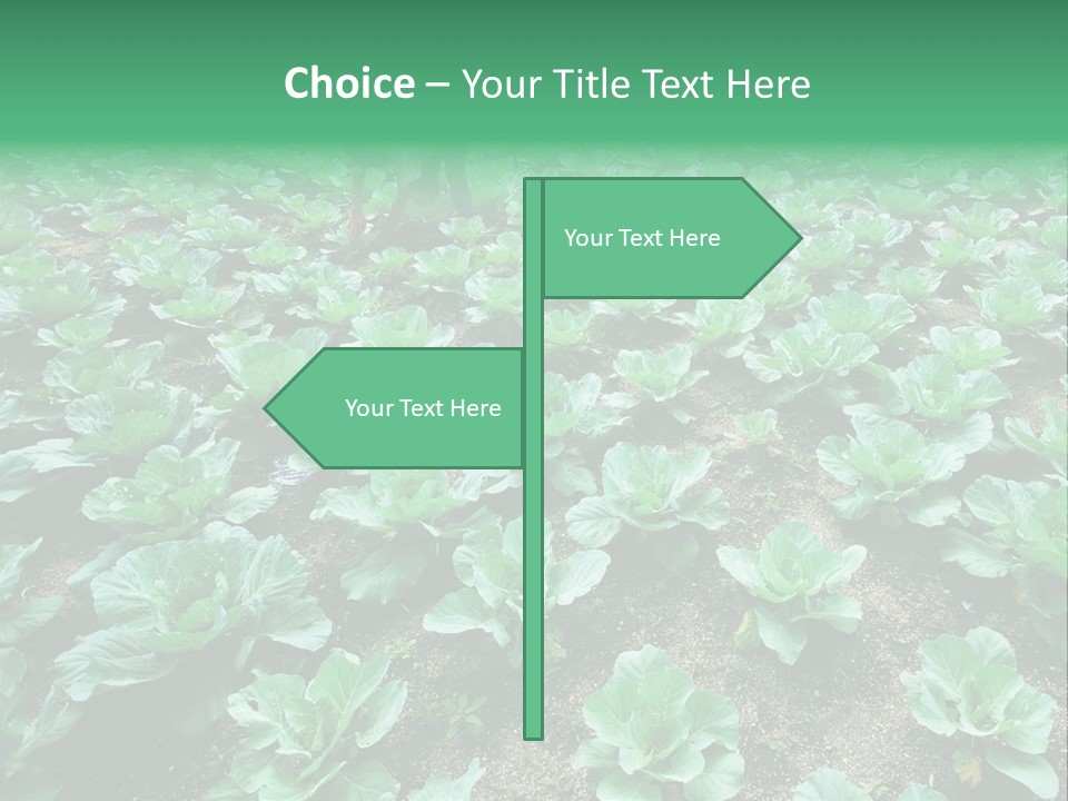 Farmer Harvest Straw PowerPoint Template