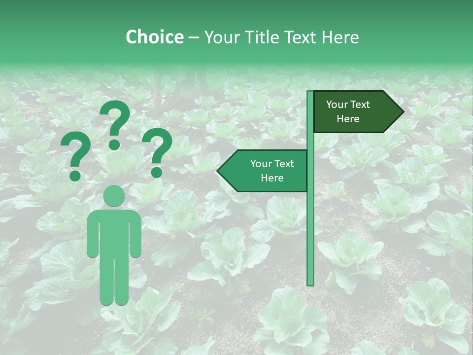 Farmer Harvest Straw PowerPoint Template