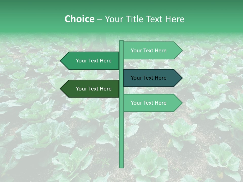 Farmer Harvest Straw PowerPoint Template