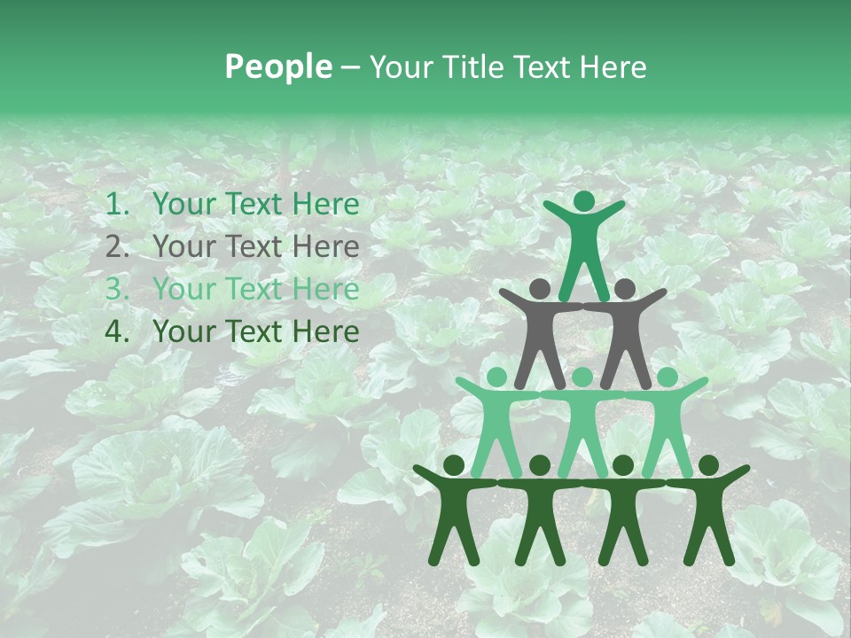 Farmer Harvest Straw PowerPoint Template