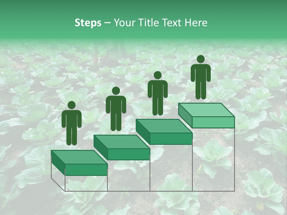 Farmer Harvest Straw PowerPoint Template