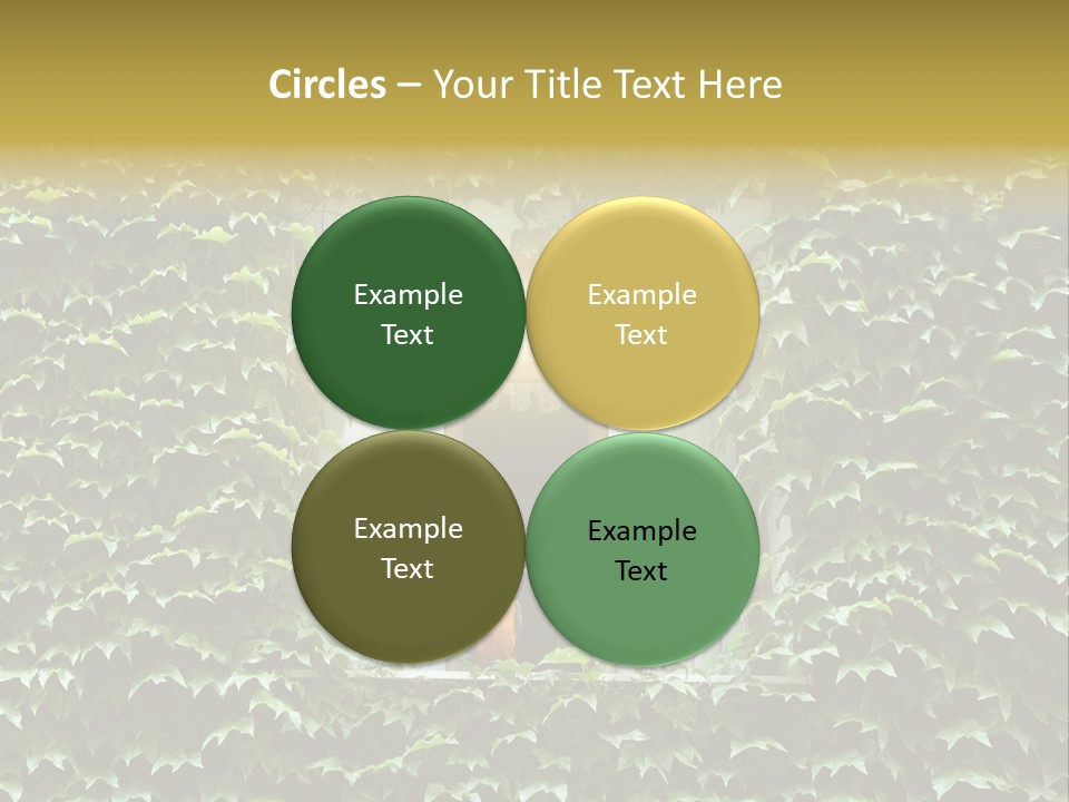 Lush Parrot Texture PowerPoint Template