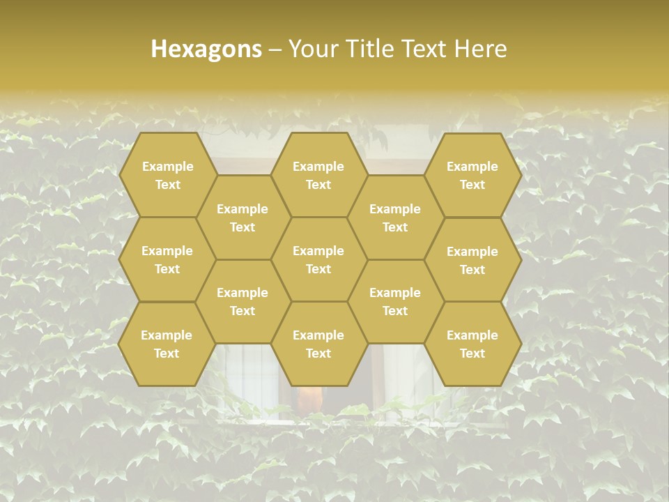 Lush Parrot Texture PowerPoint Template