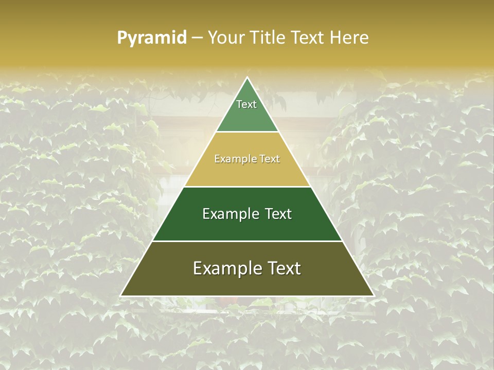 Lush Parrot Texture PowerPoint Template