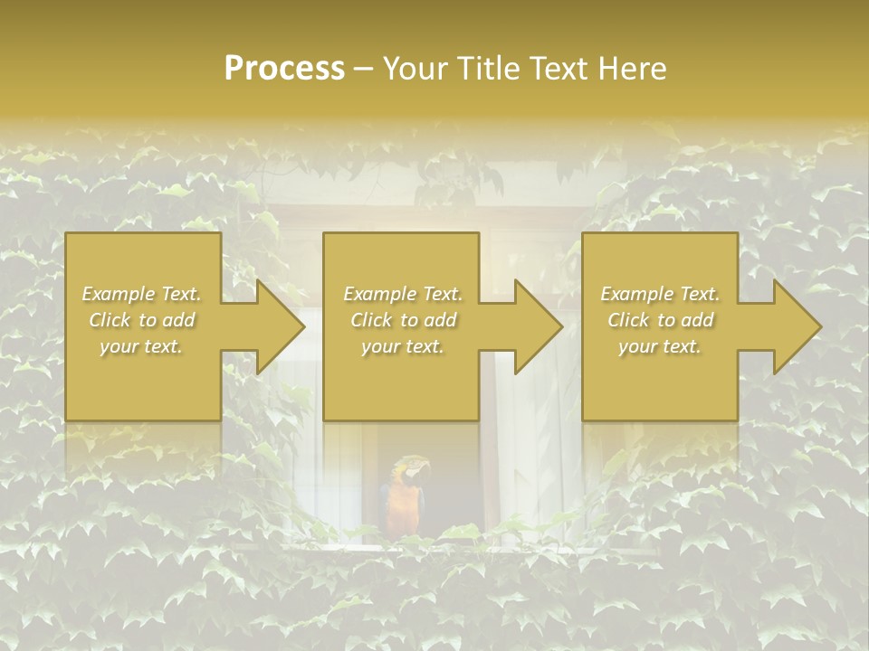 Lush Parrot Texture PowerPoint Template