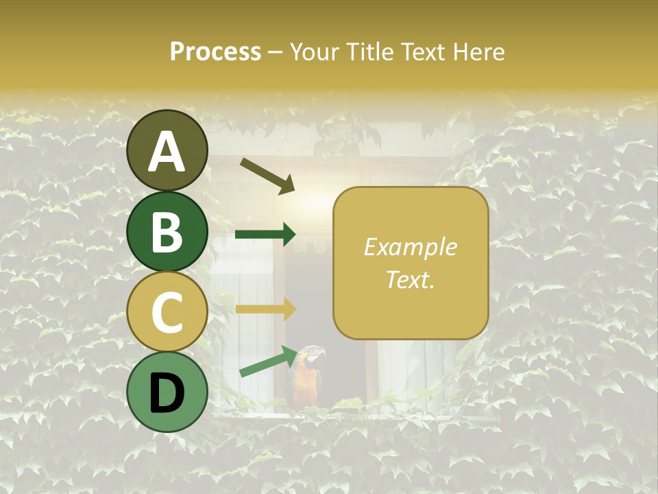 Lush Parrot Texture PowerPoint Template