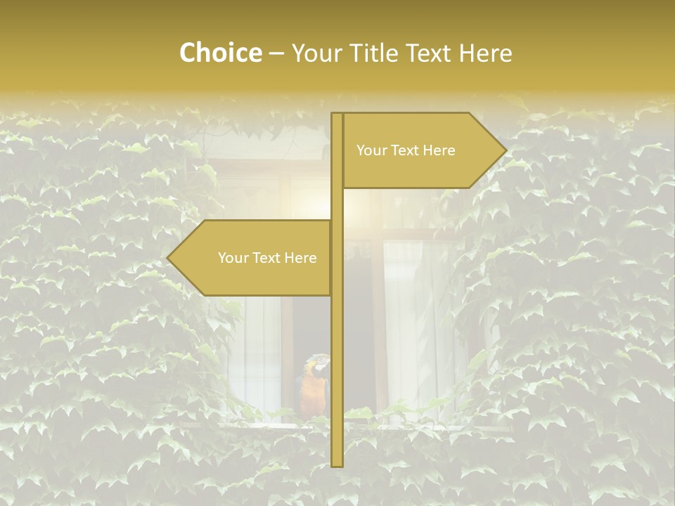 Lush Parrot Texture PowerPoint Template