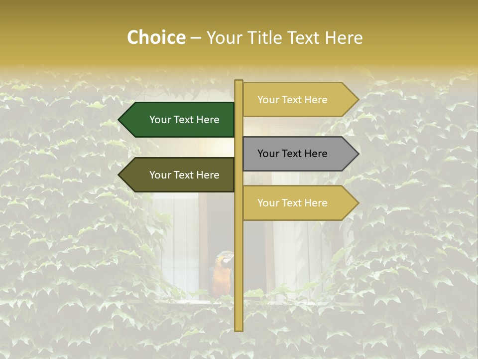 Lush Parrot Texture PowerPoint Template