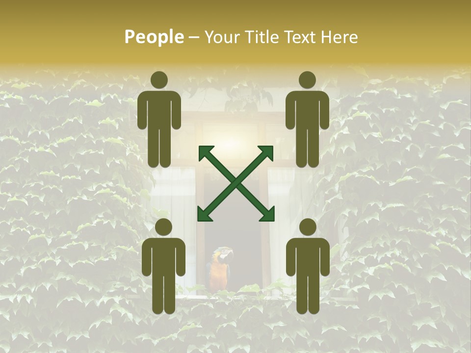 Lush Parrot Texture PowerPoint Template