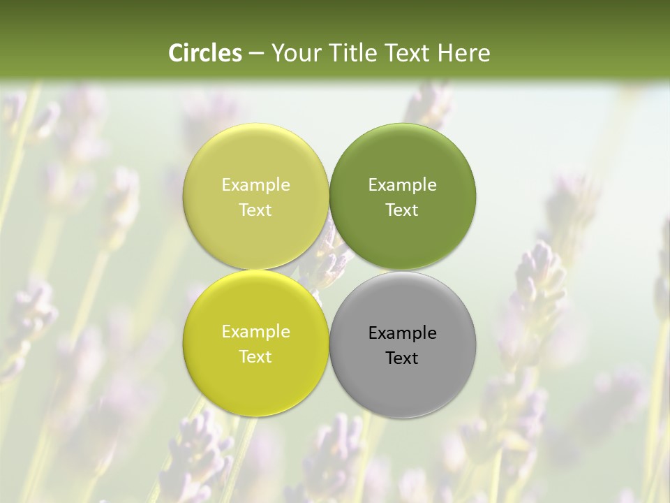 Ingredient Blue Lilac PowerPoint Template