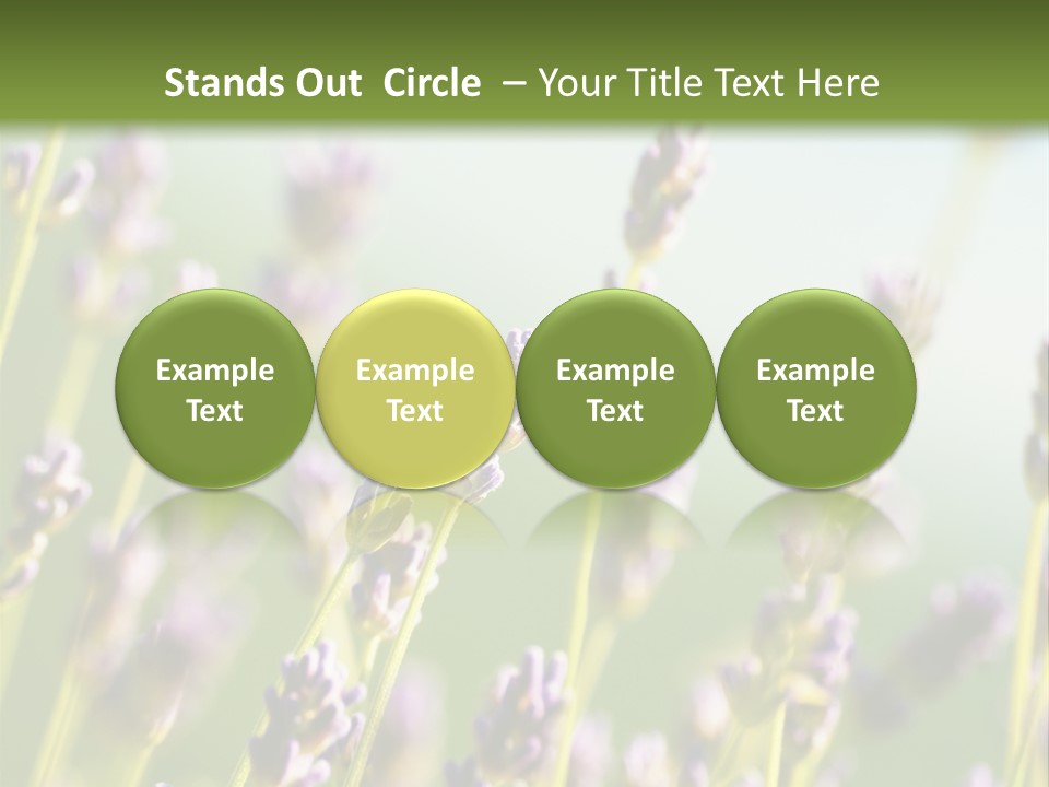 Ingredient Blue Lilac PowerPoint Template