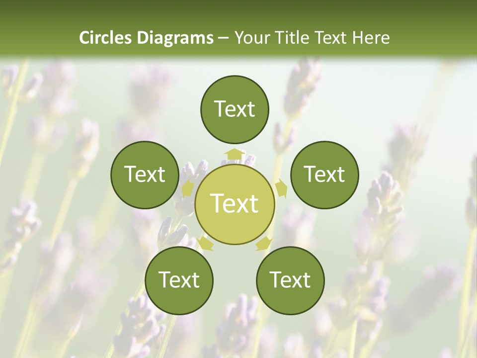 Ingredient Blue Lilac PowerPoint Template