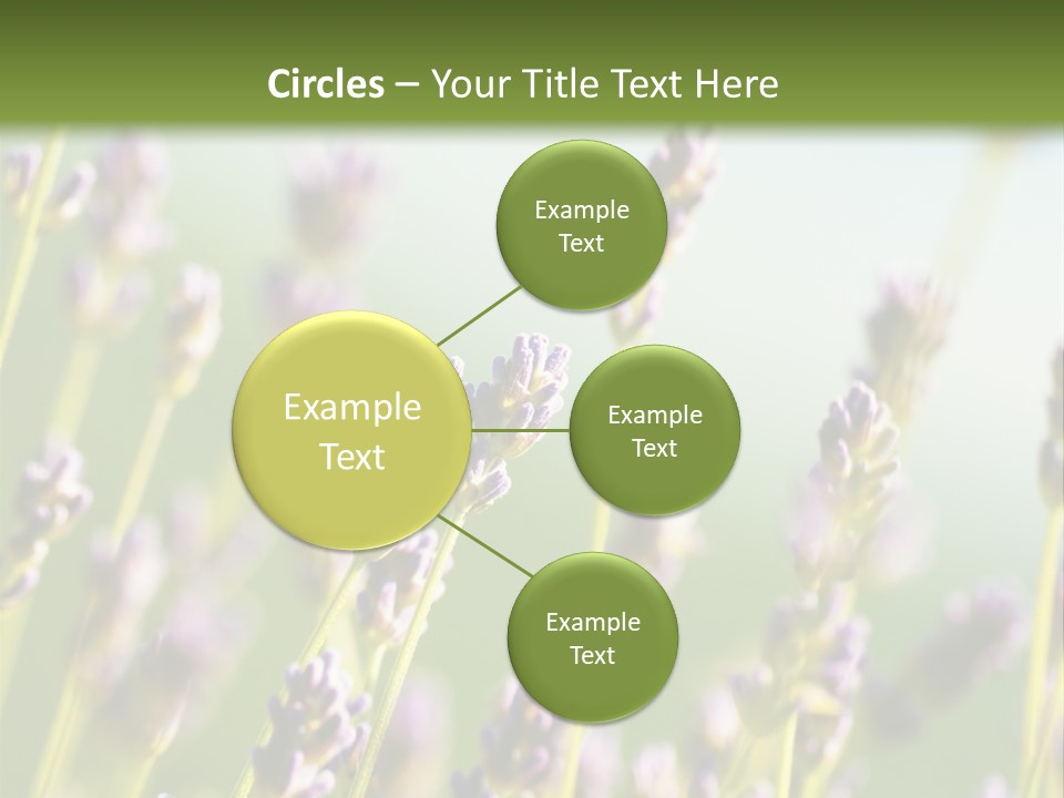 Ingredient Blue Lilac PowerPoint Template