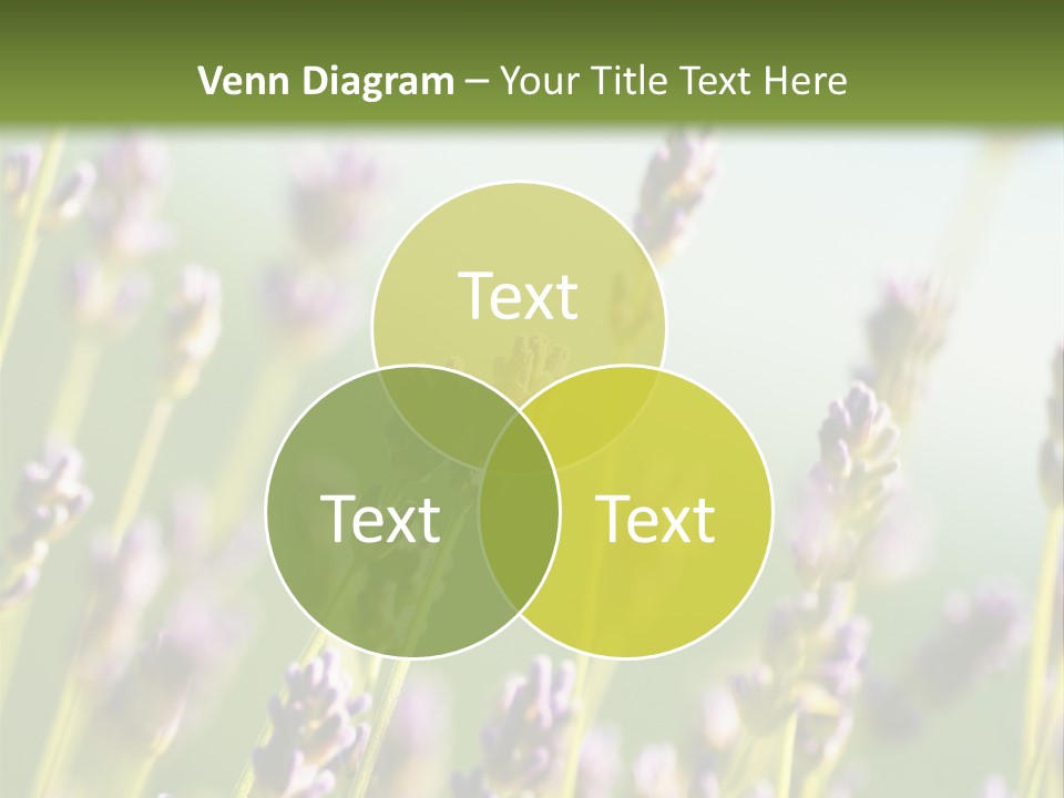 Ingredient Blue Lilac PowerPoint Template