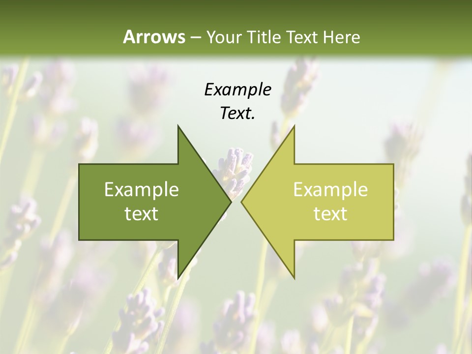 Ingredient Blue Lilac PowerPoint Template