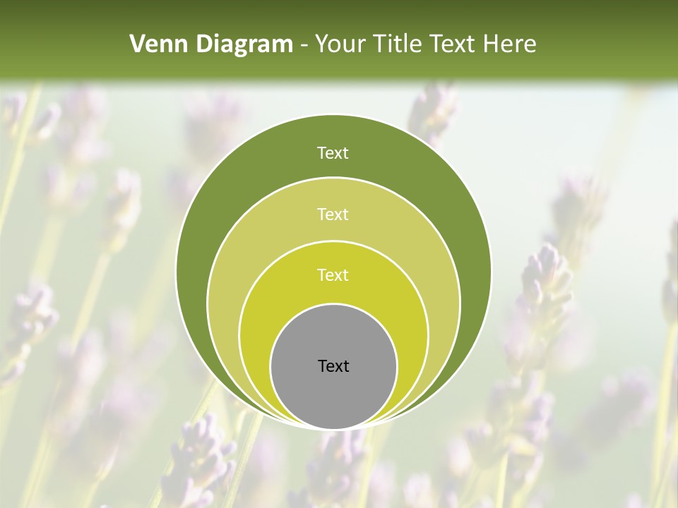 Ingredient Blue Lilac PowerPoint Template