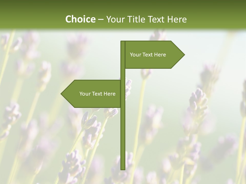 Ingredient Blue Lilac PowerPoint Template