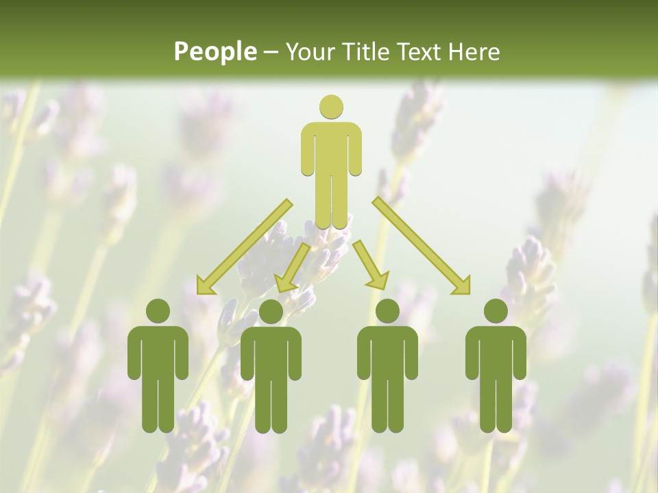 Ingredient Blue Lilac PowerPoint Template