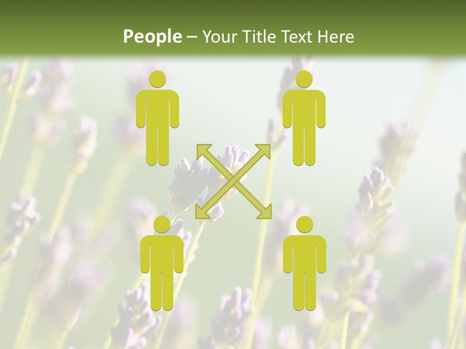 Ingredient Blue Lilac PowerPoint Template