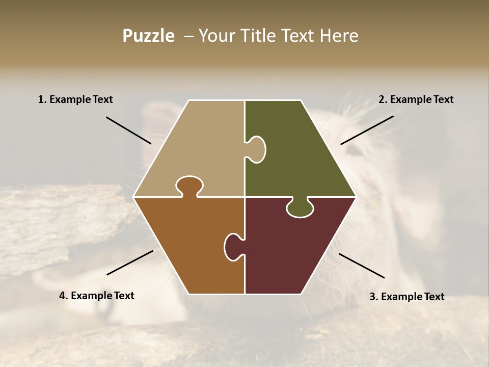 A Pig Sticking Its Head Out Of A Barn PowerPoint Template