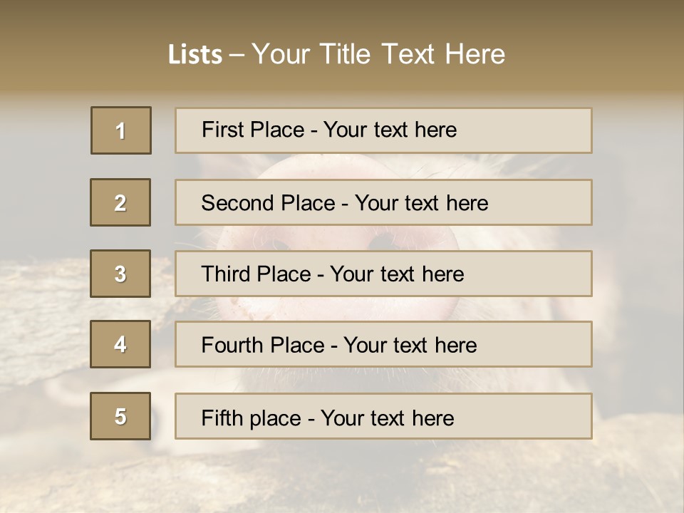 A Pig Sticking Its Head Out Of A Barn PowerPoint Template