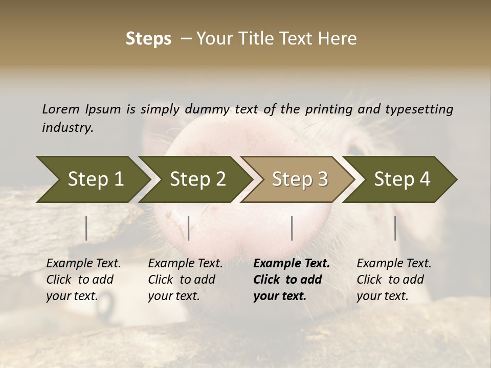 A Pig Sticking Its Head Out Of A Barn PowerPoint Template