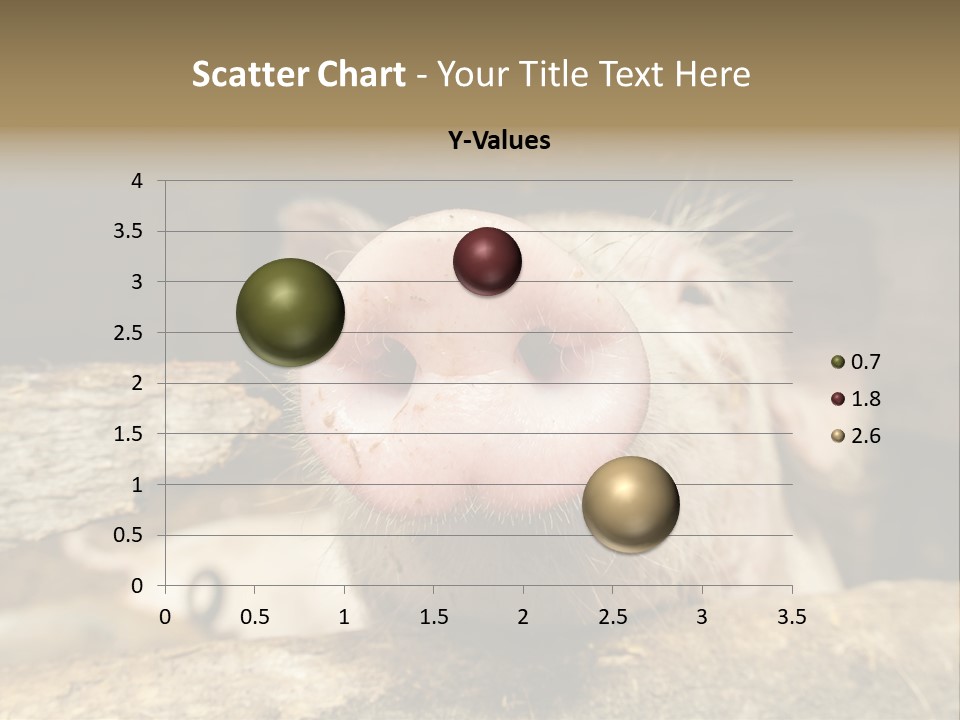 A Pig Sticking Its Head Out Of A Barn PowerPoint Template