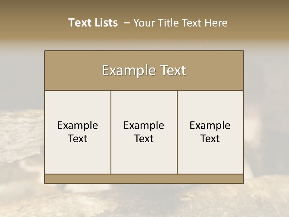A Pig Sticking Its Head Out Of A Barn PowerPoint Template