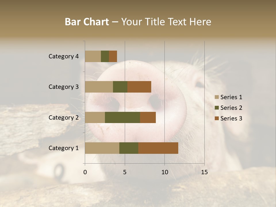 A Pig Sticking Its Head Out Of A Barn PowerPoint Template