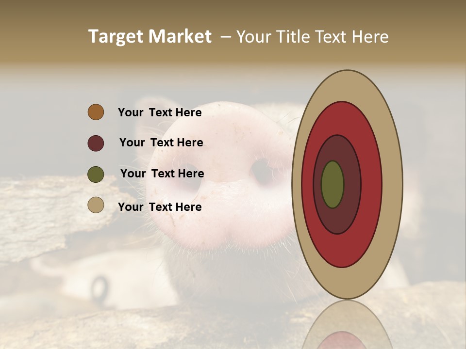 A Pig Sticking Its Head Out Of A Barn PowerPoint Template