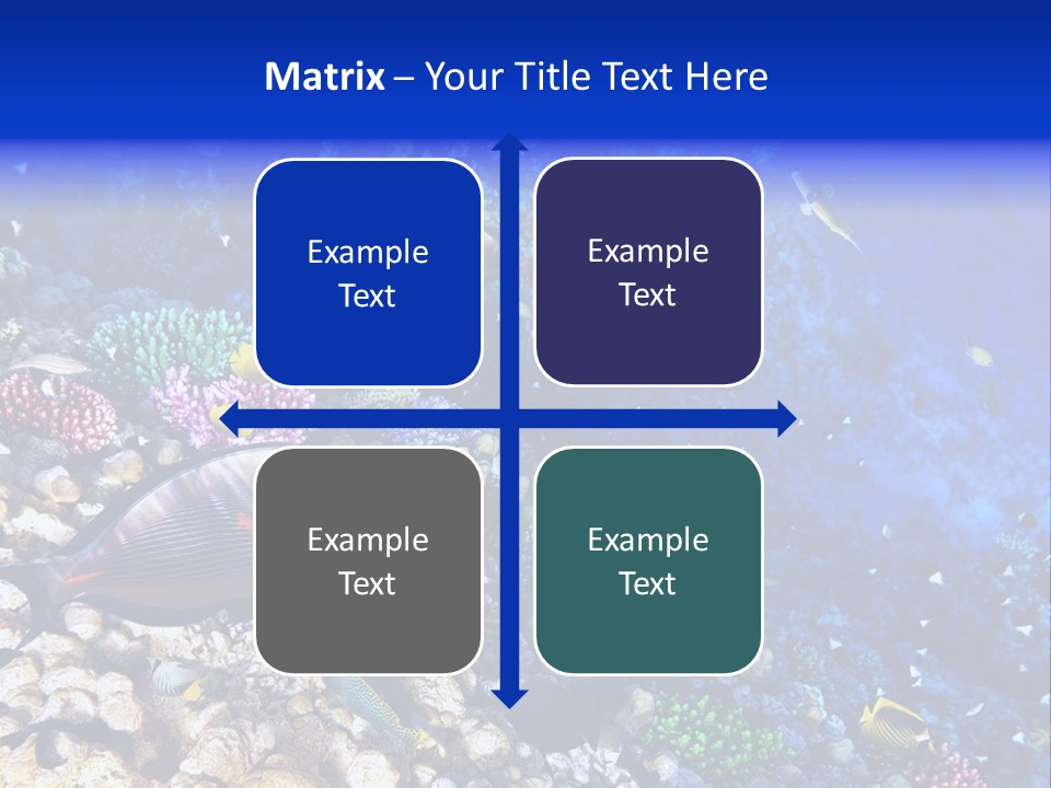 Elsheikh Aquatic Sea PowerPoint Template