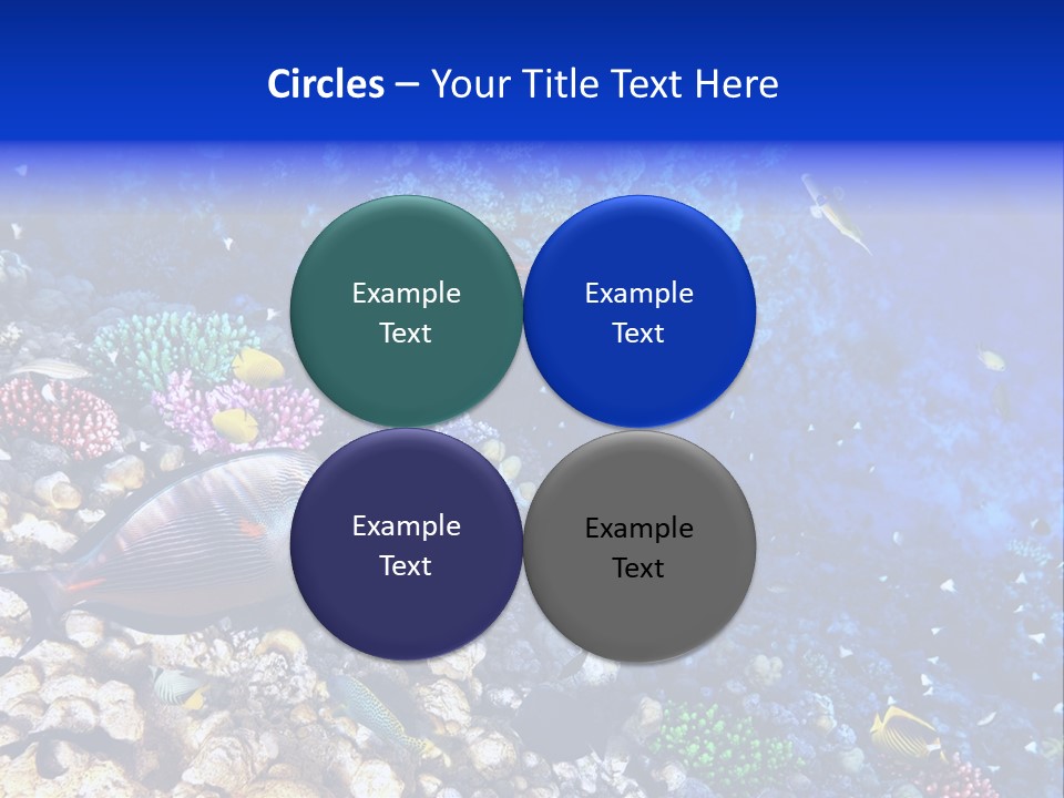 Elsheikh Aquatic Sea PowerPoint Template