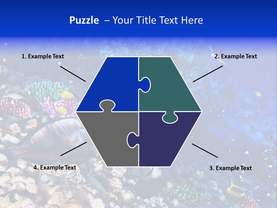 Elsheikh Aquatic Sea PowerPoint Template