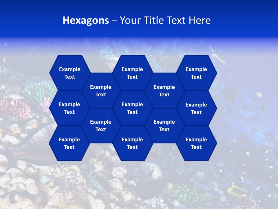 Elsheikh Aquatic Sea PowerPoint Template