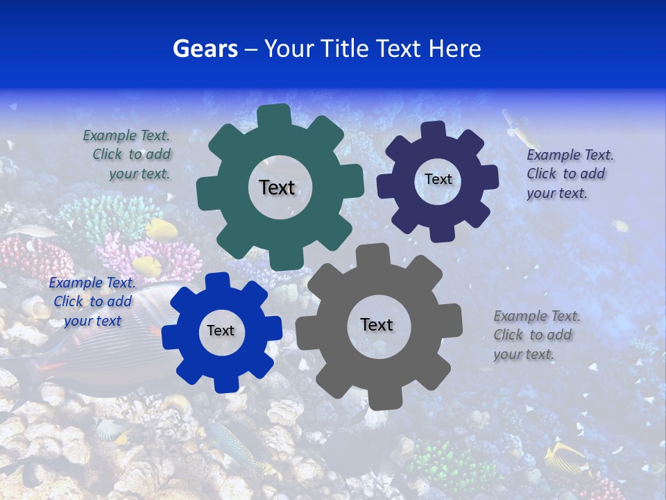 Elsheikh Aquatic Sea PowerPoint Template