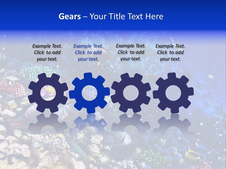 Elsheikh Aquatic Sea PowerPoint Template