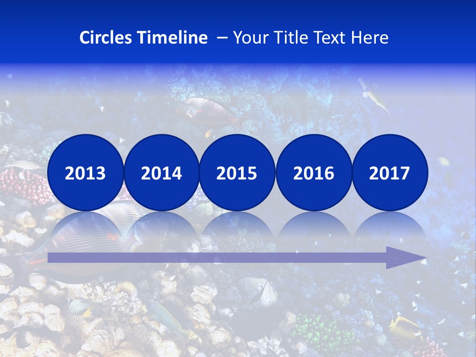 Elsheikh Aquatic Sea PowerPoint Template