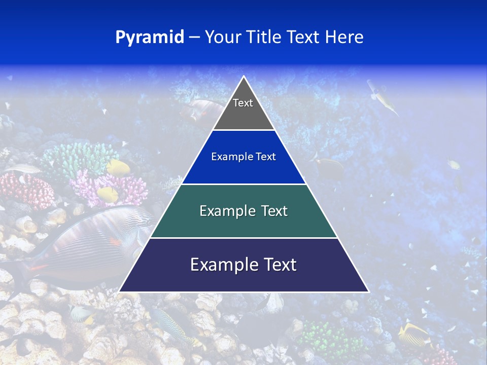 Elsheikh Aquatic Sea PowerPoint Template