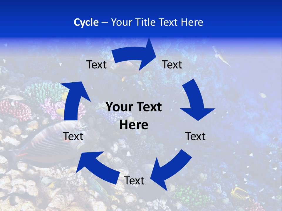 Elsheikh Aquatic Sea PowerPoint Template