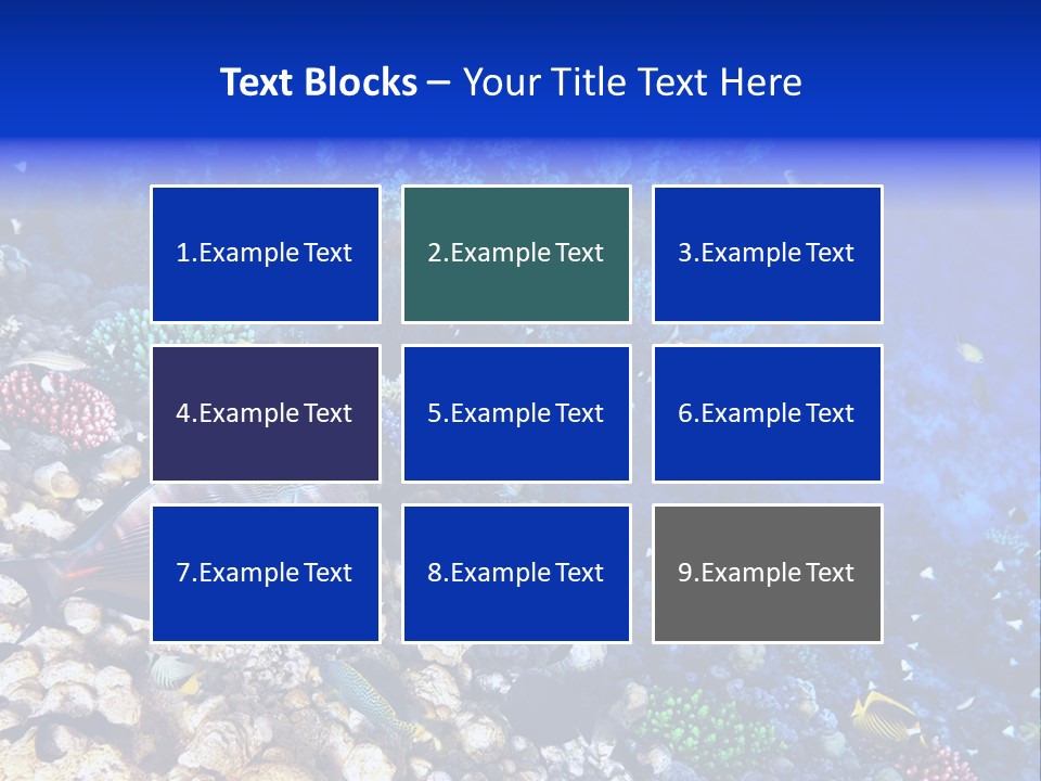 Elsheikh Aquatic Sea PowerPoint Template