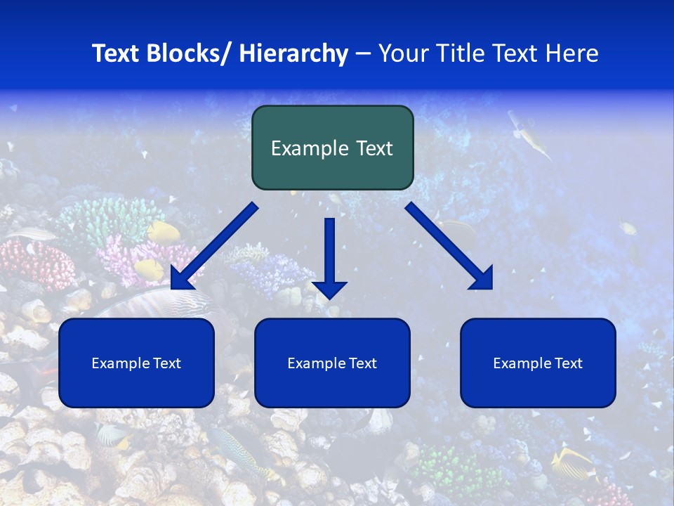 Elsheikh Aquatic Sea PowerPoint Template