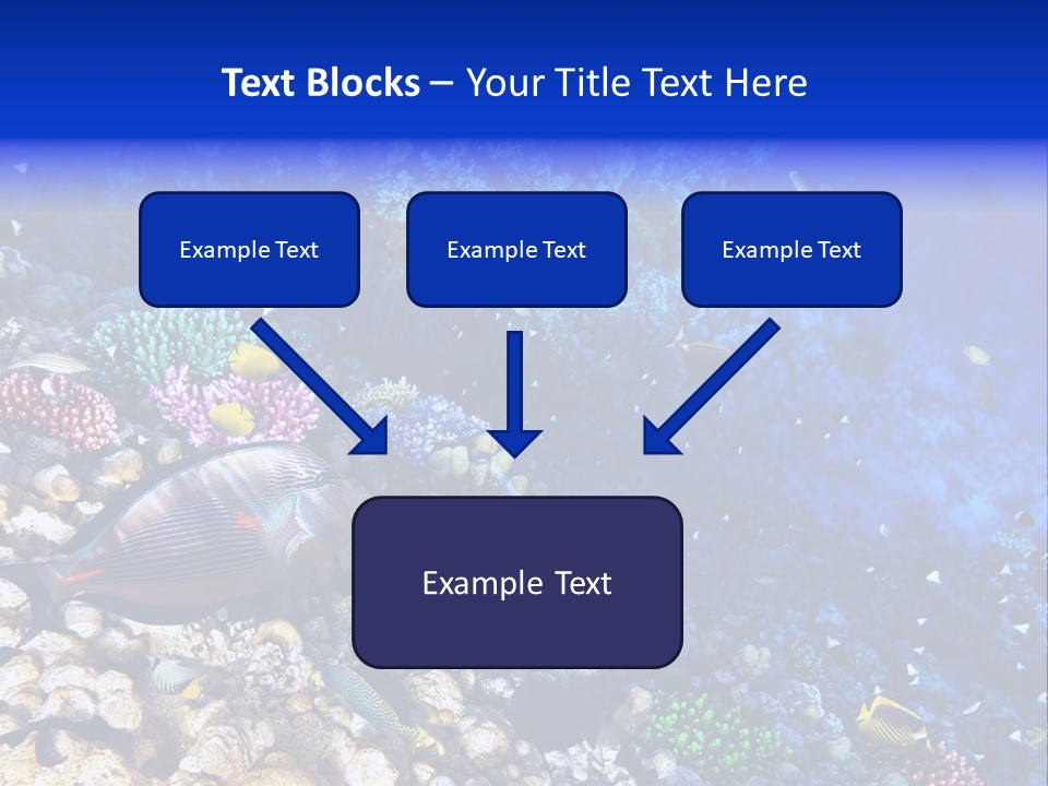 Elsheikh Aquatic Sea PowerPoint Template