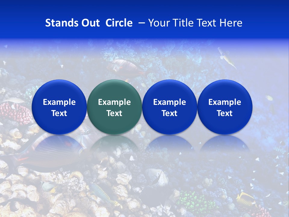 Elsheikh Aquatic Sea PowerPoint Template