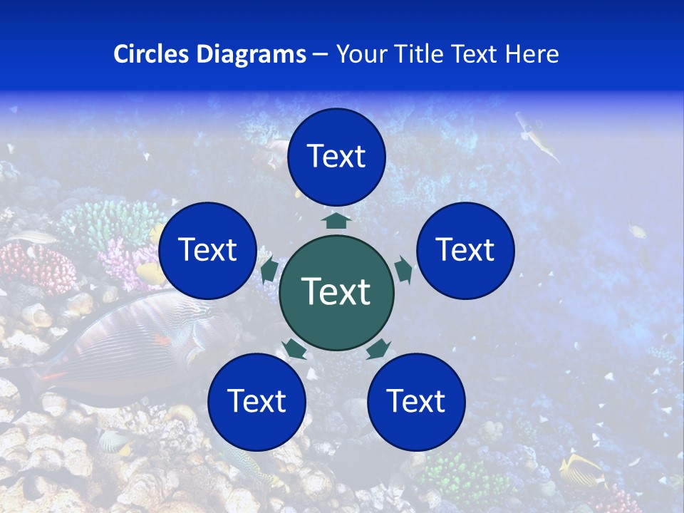 Elsheikh Aquatic Sea PowerPoint Template