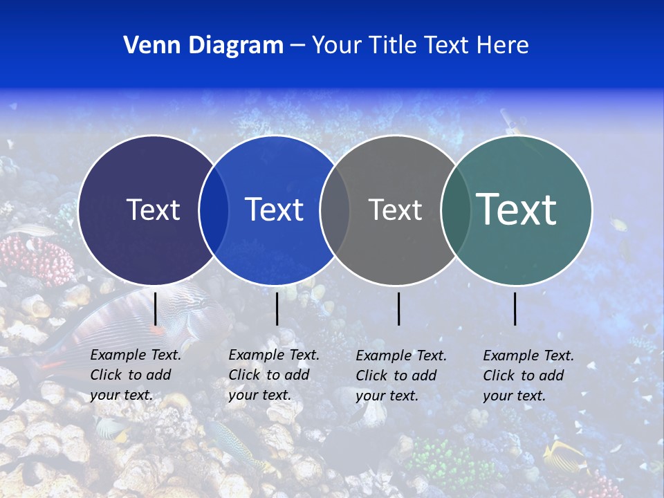 Elsheikh Aquatic Sea PowerPoint Template