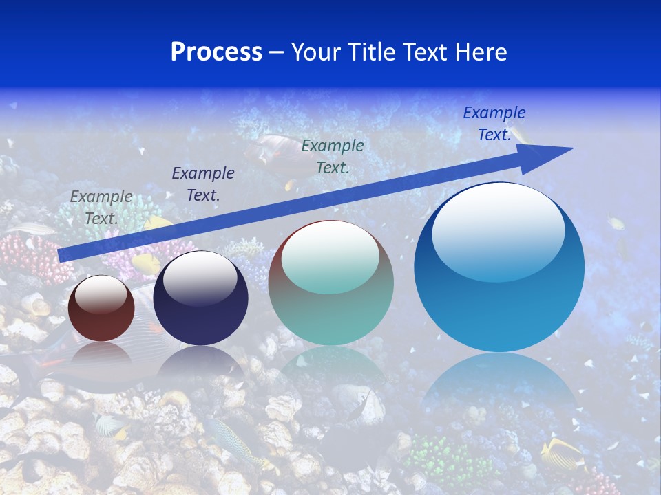 Elsheikh Aquatic Sea PowerPoint Template