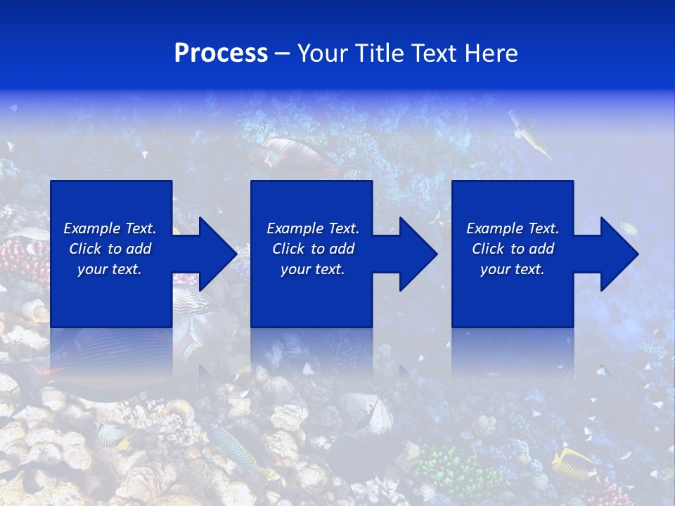 Elsheikh Aquatic Sea PowerPoint Template
