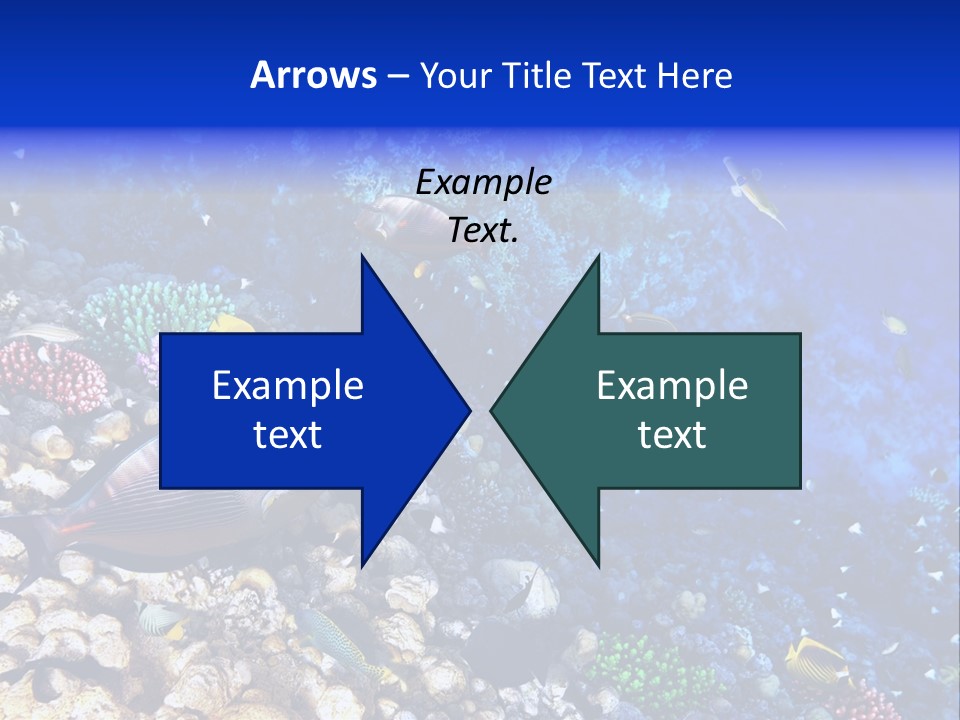 Elsheikh Aquatic Sea PowerPoint Template