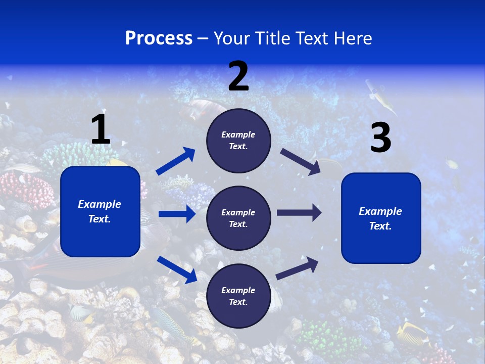 Elsheikh Aquatic Sea PowerPoint Template