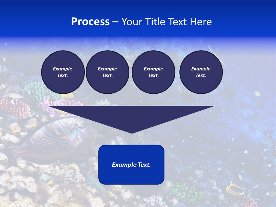 Elsheikh Aquatic Sea PowerPoint Template